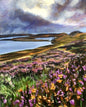 Wildflowers