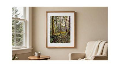 Gathering Light Together - Fine Art Print