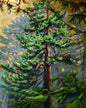 Forest Bathing - Artist's Proof (watercolour papaer)