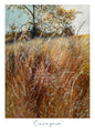 Art Card