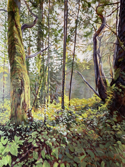 Gathering Light Together