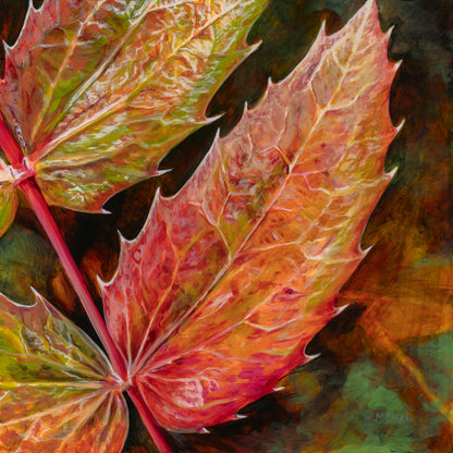 Oregon Grape