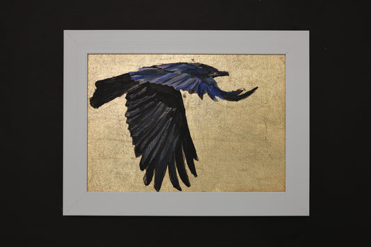 Soaring