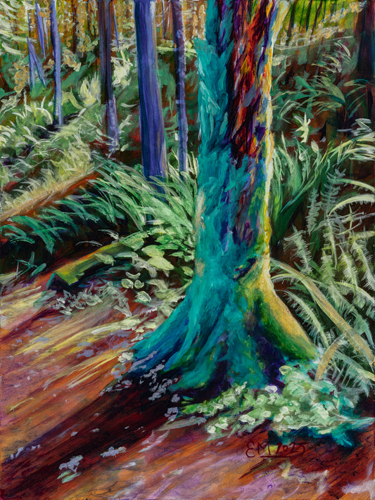 Where the Light Rests