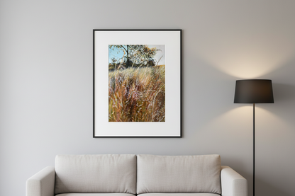 Convergence - Fine Art Print