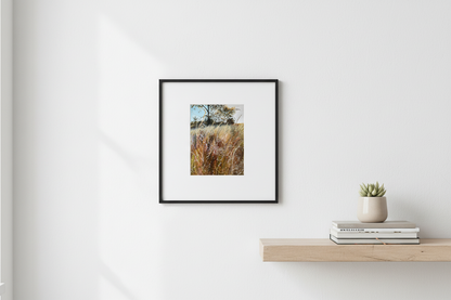 Convergence - Fine Art Print